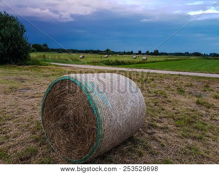 Hay Harvesting At The Fields In Lower Saxony