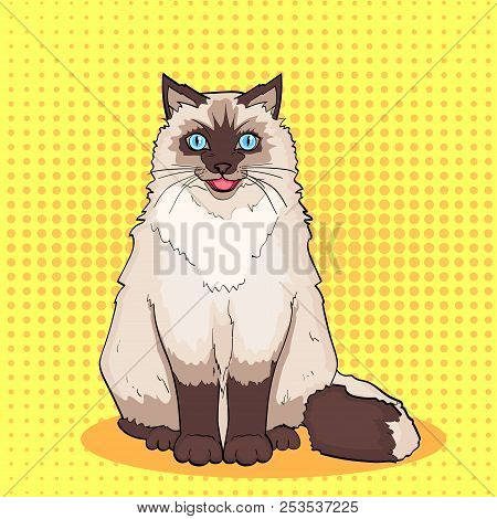 Pop Art Background, Orange. Pet. Siamese Cat Or Siberian Color Neva Masquerade. Vector