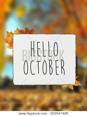 Hello October Autumn Text On White Plate Board Banner Fall Leaves Blur Background