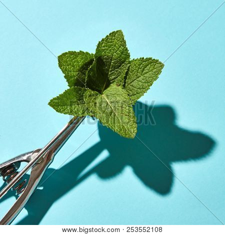 Creative composition from mint leaves in the metal spoon for ice cream on a blue glass background with shadows. Food modern style.