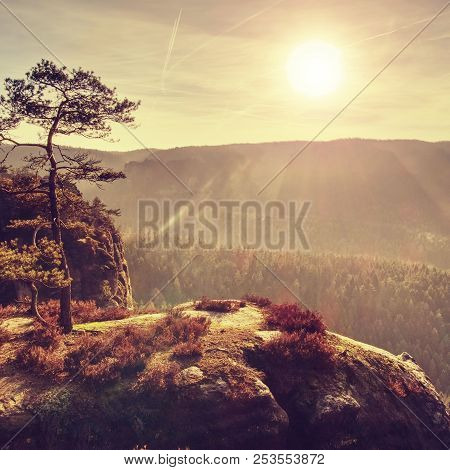 Morning View Over Sandstone Cliff Into Misty Valley. Sandstone Peaks Increased From Foggy Cloud Warm