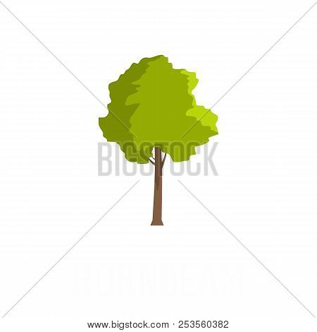 Hornbeam Tree Icon. Flat Illustration Of Hornbeam Tree  Icon Isolated On White Background