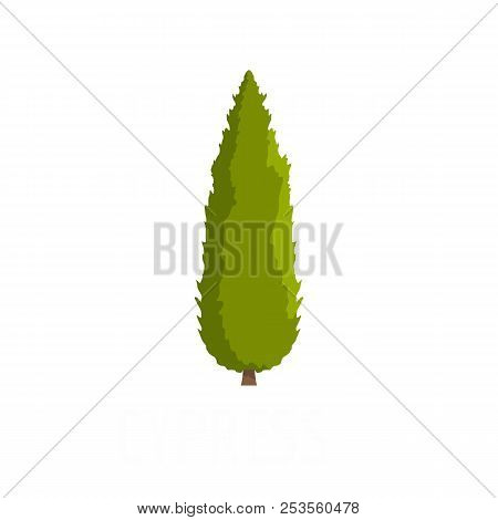 Cypress Tree Icon. Flat Illustration Of Cypress Tree  Icon Isolated On White Background