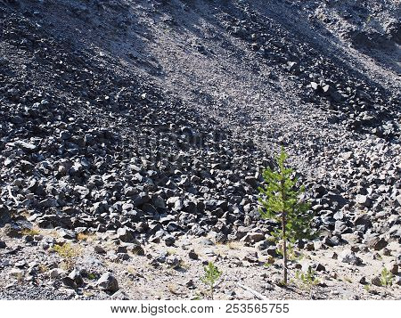 Textured Obsidian And Hardened Lava Rock On A Sunny Fall Day At The Big Obsidian Flow In The Newberr