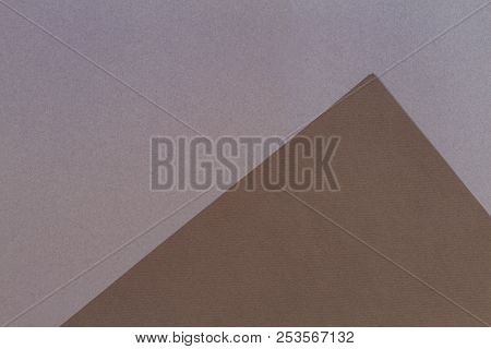 Color Papers Geometry Composition Background With Gray And Brown Trendy Color Tones
