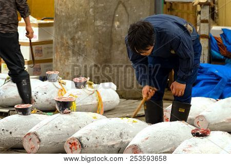 Tokyo, Japan - April 26 2018: The Auction At The Inner Area Of Tsukiji Market Before Closing On Octo