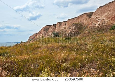 wildflowers on high coast by the sea, beautiful summer landscape, travel concept