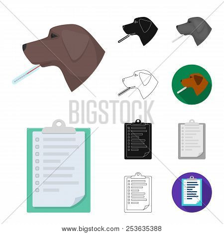 Veterinary Clinic Cartoon, Black, Flat, Monochrome, Outline Icons In Set Collection For Design. Trea