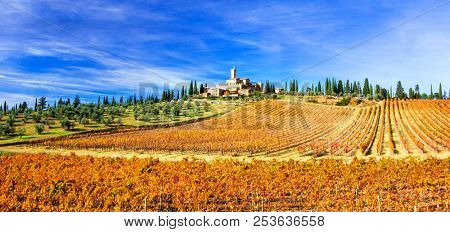 Picturesque  Tuscany - golden  vineywrds and castles.Castello Banfi - Il Borgo. Italy