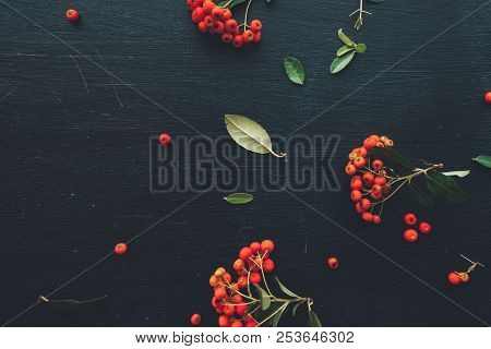 Flat Lay Red Wild Berry Cruit Arrangement, Top View Natural Pattern As Decoration On Black Wooden Ba