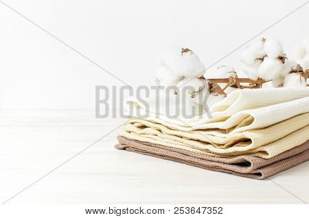 Multicolored Clean Towels With A Branch Of Cotton On A Light Wooden Background With Copy Space. Text