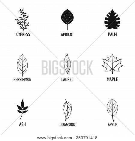 Cocklebur Icons Set. Simple Set Of 9 Cocklebur Icons For Web Isolated On White Background