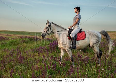 Horsewoman Jockey In Uniform Riding Horse Outdoors