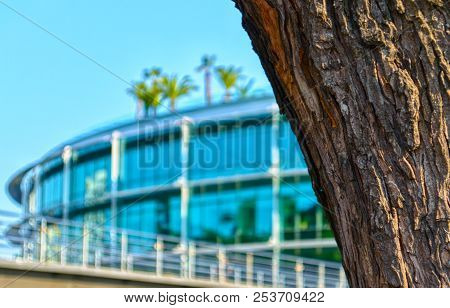 Part Of An Office Building With Glass Walls And A Roof Terrace. Green Office, Office Building. View 