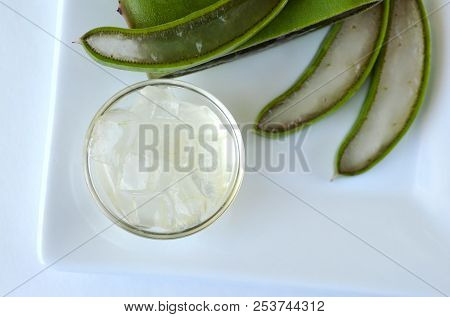 Fresh Aloe Vera Plant Leaf Gel In A Clear Bowl With Fresh Cut Leaves On A White Plate With Copy Spac