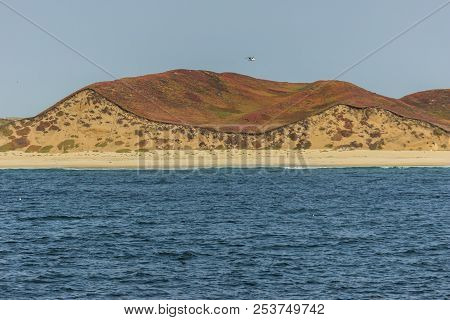 Colorful Hills At Monterey Bay Whale Watching