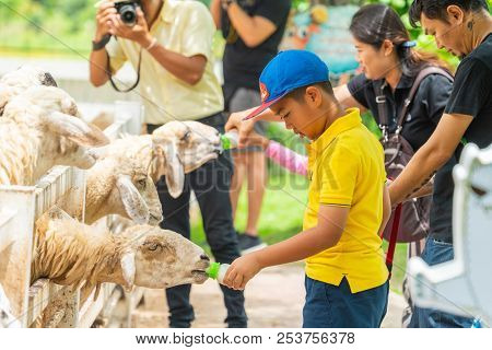 Nakhon Nayok, Thailand - July 15, 2018: Tourist People Feeding Milk To Sheeps In The Farm In Nakhon 