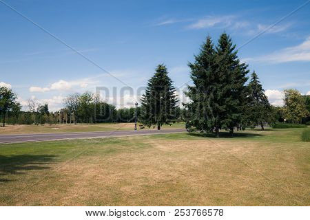 Ashalt Road At Modern City Green Park