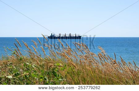 Sea Coast, Cargo Ship On Horrizon, Orange Green Grass, View From The Coast