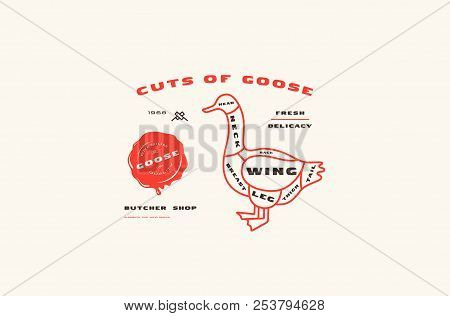Stock Vector Goose Cuts Diagram In Thin Line Style. Color Print On White Background