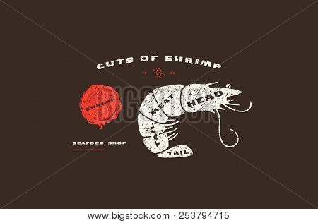 Stock Vector Shrimp Cuts Diagram In Flat Style. Design With Rough Texture. Color Print On Black Back