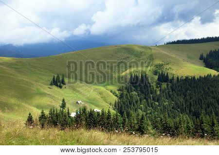 Green Mountain Valley, Green Forest, Top Of The Hill, Houses, Cows