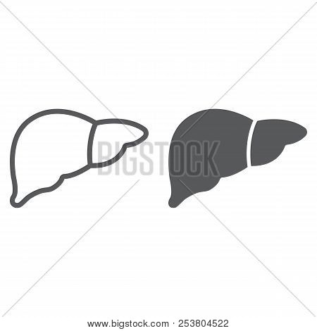 Liver Line And Glyph Icon, Anatomy And Biology, Hepatology Sign, Vector Graphics, A Linear Pattern O