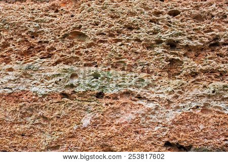 Background Texture Of Natural Stone With Shells Of Marine Animals.