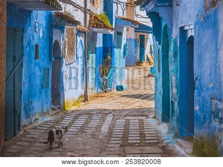 Amazing View Of The Street In The Blue City Of Chefchaouen. Location: Chefchaouen, Morocco, Africa. 