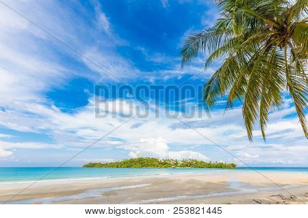 Paradise Idyllic Sea Beach With Coconut Palm Tree