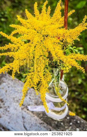 Bouquet Of Wid Yellow Flowers In A Bottle
