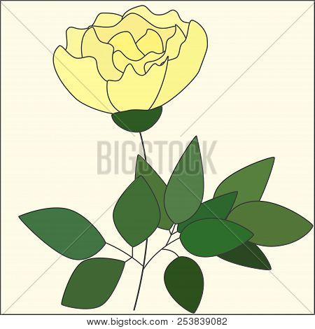 Flowers, Bud, Leaves, Bud, Floral, Green, Blossom