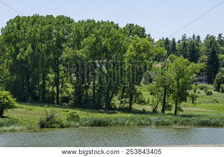 Springtime Green Forest, Glade, Reed Or Rush And House On A Beauty  Lake In Residential District Mar