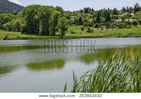 Springtime Green Forest, Glade, Reed Or Rush And House On A Beauty  Lake In Residential District Mar