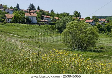 Springtime Green Forest, Glade, Reed Or Rush And House On A Beauty  Lake In Residential District Mar