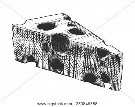 Vector Engraved Style Illustration For Posters, Decoration And Print. Hand Drawn Sketch Of Cheese In