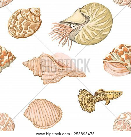 Sea World Seamless Pattern, Background With Fish, Corals And Shells On White Background. Stock Vecto