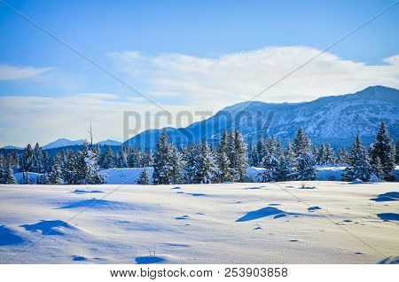 New Snow In The Foothills Of Fairmont Hot Springs, British Columbia. Purcell Mountains Landscape