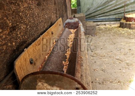 A Gutter For Grain For Hens. Feeder For Feed. Suffused Earth. Hut For Hens