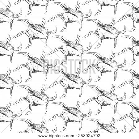 Seamless Pattern Unique Sea Shells Harpago Is A Genus Of Sea Snails, Marine Gastropod Mollusks In Th