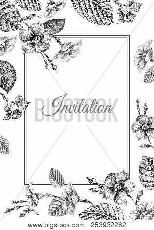Wedding Invitations Cards Templates. Decoration With Garden Flowers, Frame Pattern. Floral Vector Il