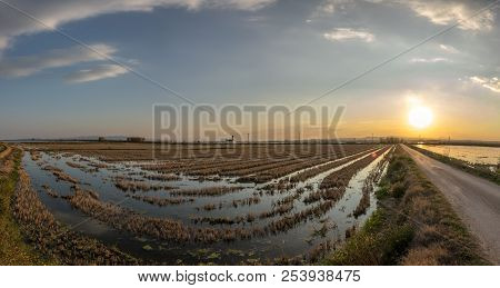 Flooded Rice Paddy And Traditional Mediterranean Farm House, Gigapan Albufera Valencia, Spain