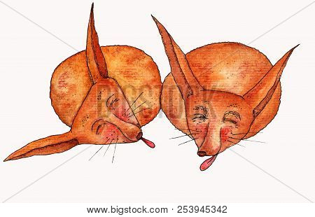 Colorful Watercolor Sleepy Foxes With Tongue. Cute Animal Illustration. Watercolor Graphic For Fabri
