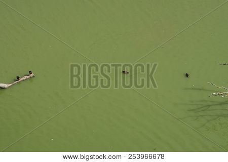 View On The Dombes River In The French Countryside
