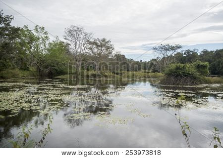 Cambodia Anlong Veng Ta Mok Lake Landscape