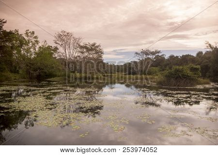 Cambodia Anlong Veng Ta Mok Lake Landscape