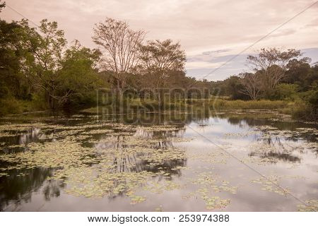 Cambodia Anlong Veng Ta Mok Lake Landscape