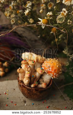 Woods, Fairy Tales & Mysterious Creature Concept - Poisonus Mushrooms In The Cup With Confectionary 