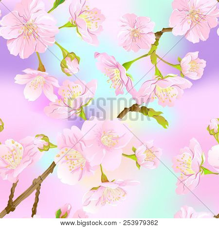 Seamless Pattern, Background With Blooming Cherry Japanese Sakura In Soft Rose Pink Colors. Stock Ve