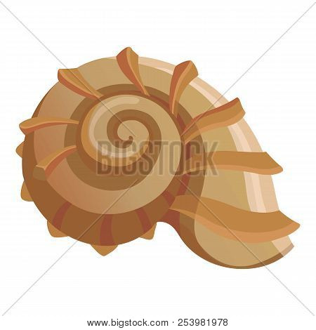 Round Shell Icon. Cartoon Illustration Of Round Shell Icon For Web